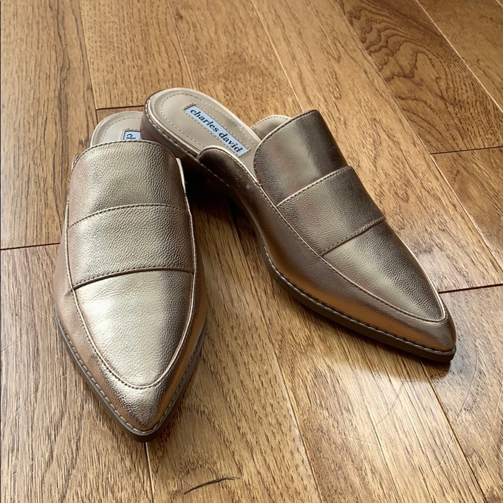 Charles David/Pink Gold Flats